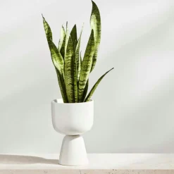 Nappula Kruka 23x15 cm, Vit