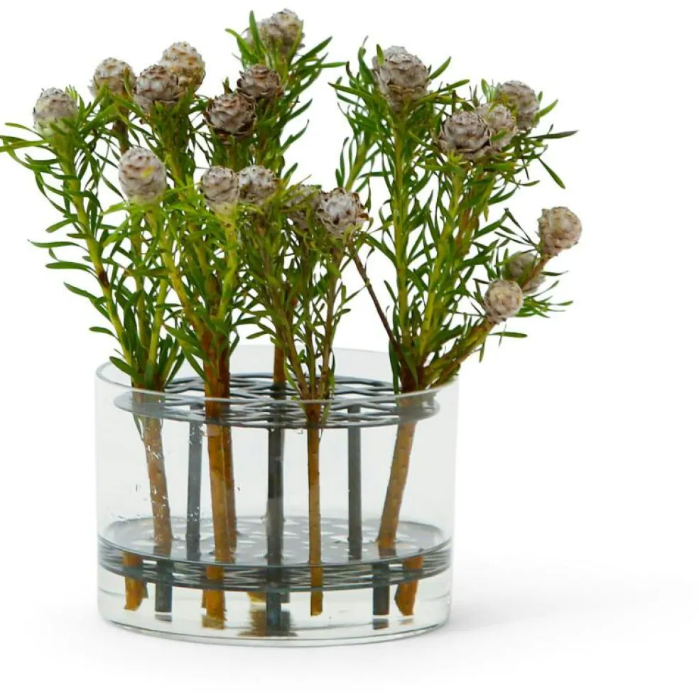 Äng Vas Liten, Mässing