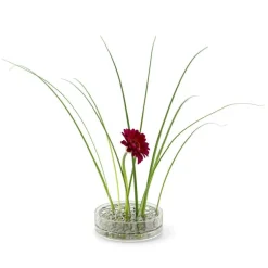 Äng Vas Pond, Mässing