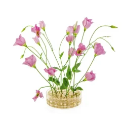 Äng Vas Pond, Mässing