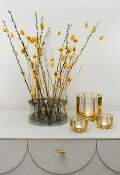 Klong Vaser-Äng Vas Stor, Mässing