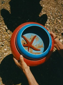 Omar Skål 02, Electric Blue