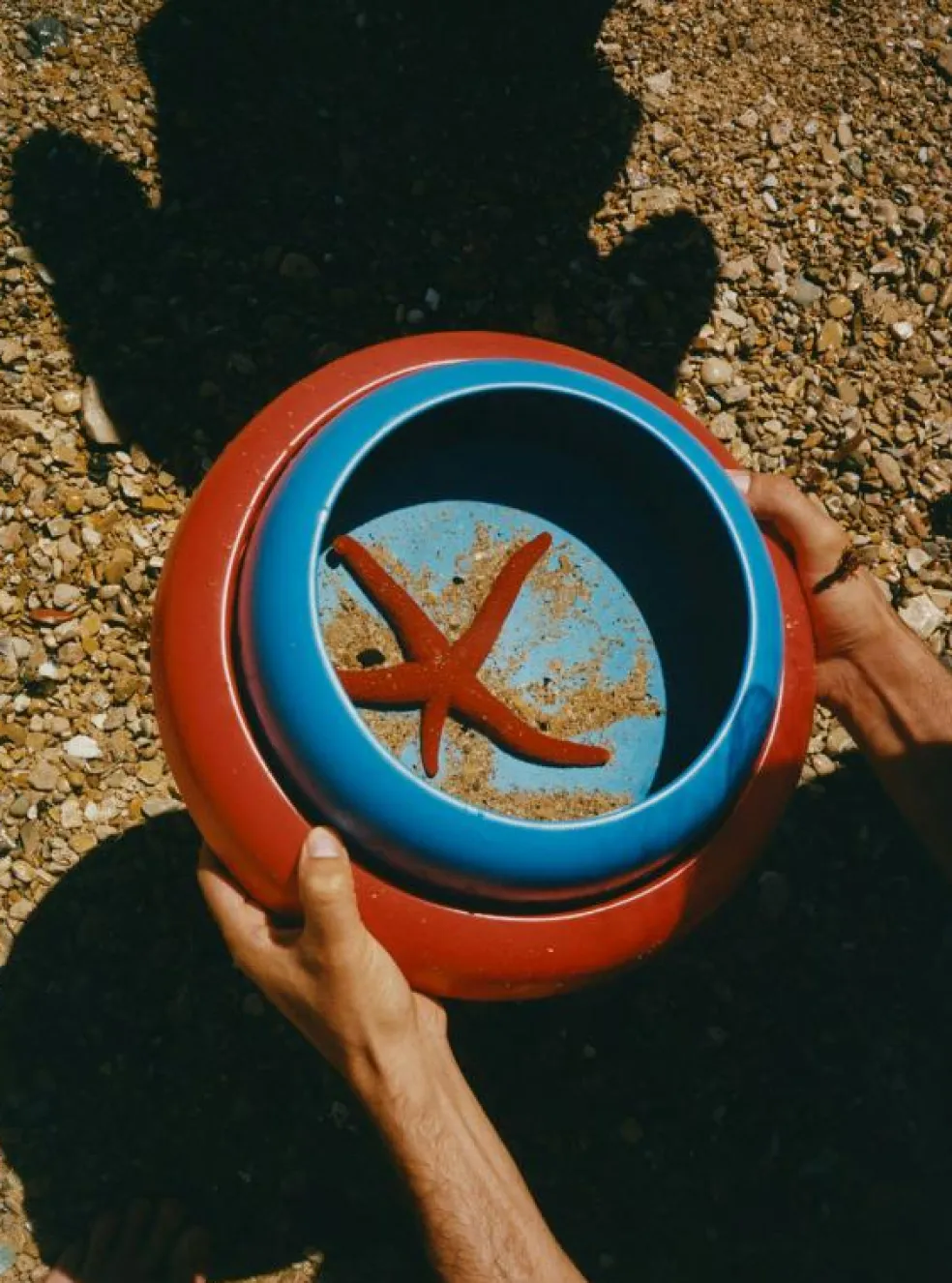 Omar Skål 02, Electric Blue