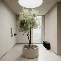 Nichba Pallar-Pall, Svart