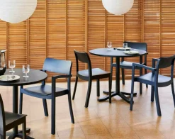 Pastis Stol, Valnöt