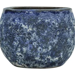 House Doctor Krukor-Pavi Kruka,