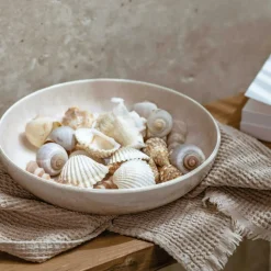 Villeroy & Boch Pastatallrikar-Perlemor Pastatallrik 22 cm,