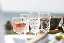 Sagaform Champagneglas-Picknick Glas Högt Med Fot Akryl 4-pack, Vit