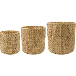 House Doctor Korgar-Roun,