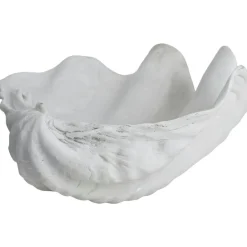 Shell Dekoration Vit, Large