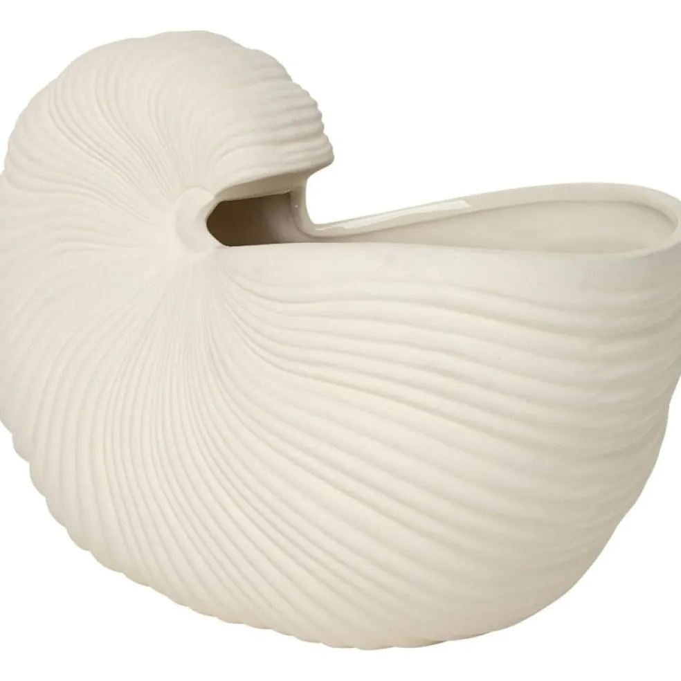 Shell Kruka, Off White