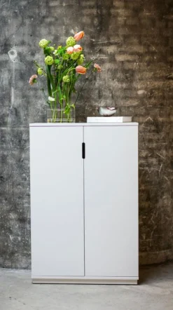 Mavis Skåp & Vitrinskåp-Skåp AOKO Glasdörrar Vitlack