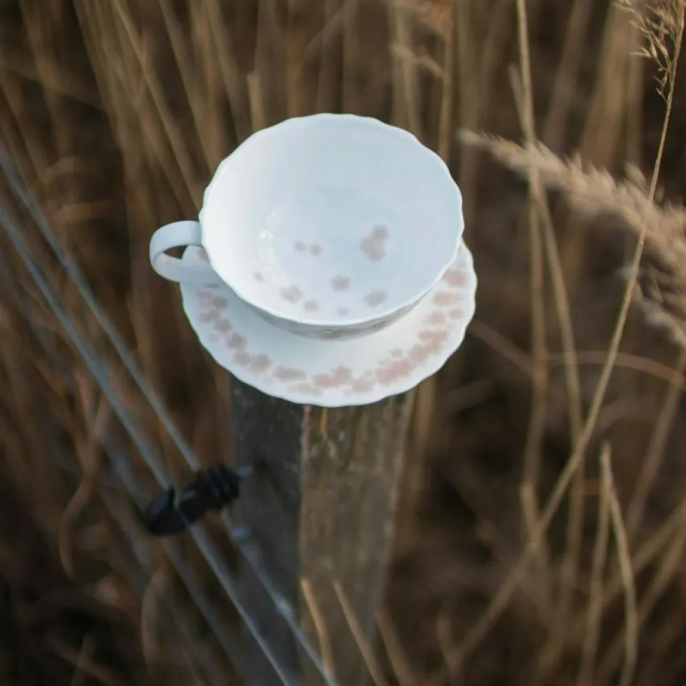 Slåpeblom Tekopp Med Fat 30 cl, Varmgrå