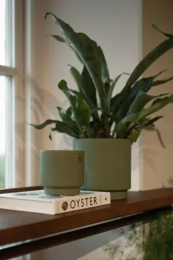 Solid Kruka 10 cm, Grön