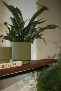 Solid Kruka 10 cm, Grön