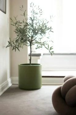 Solid Kruka 10 cm, Grön