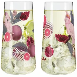 Ritzenhoff Dricksglas-Sommersonett Glas 2-pack, F24