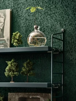 String Pocket Hylla, Nybroblå