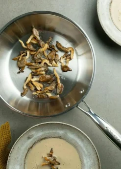 Scanpan Stekpannor-STS Stekpanna, 28 cm