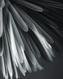 Foscarini Pendellampor-Sun – Light Of Love Taklampa MyLight 10 M, Guld