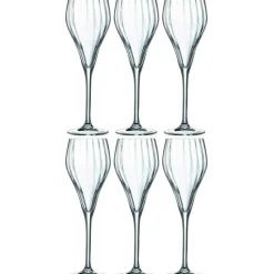 Chef&Sommelier Champagneglas-Symétrie Champagneglas 16 cl , 6-pack