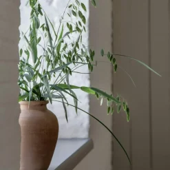 Terracina Urna, Large