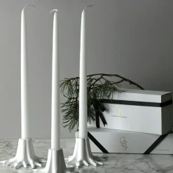 The Root Ljusstake, Solid Brass