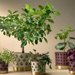 Klong Krukor-Trio Square Kruka , 18 cm / Medium