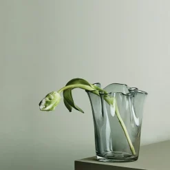 Aida Vaser-Tulip Vas, Klar