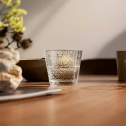 Iittala Dricksglas-Tundra Glas 29 cl 2-pack, Tallgrön
