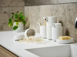 Ume Tandborstmugg, Eucalytus