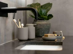 Ume Tandborstmugg, Eucalytus