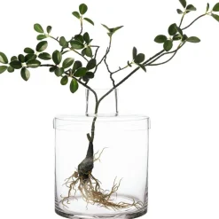 ERNST Vaser-Vas Med Lock H21 cm