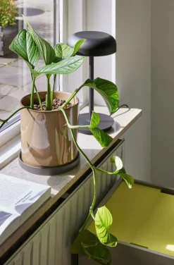 Velo Bordslampa, Sand