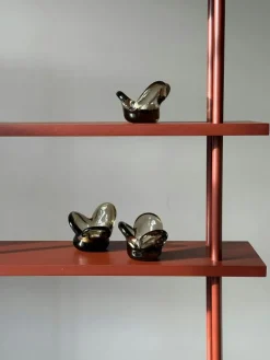 Visser Ljuslykta, Brun