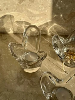 Visser Ljuslykta, Brun