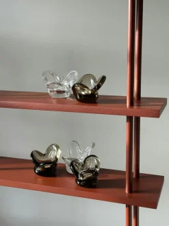 Visser Ljuslykta, Brun